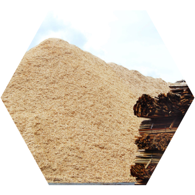 biomass image